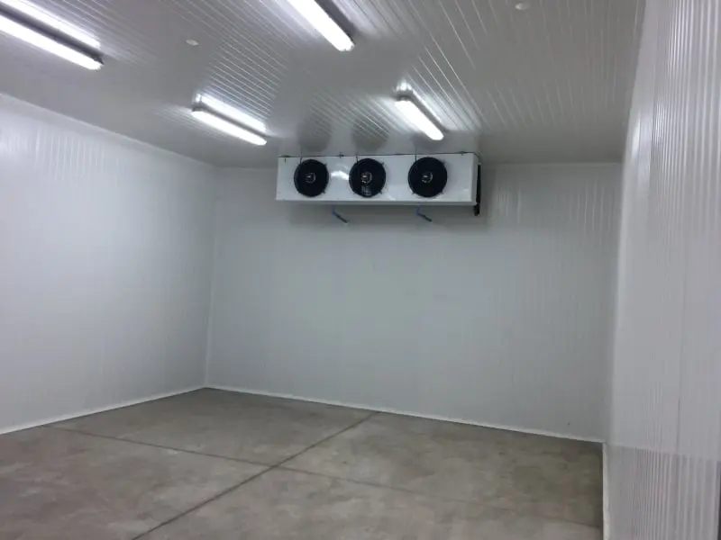 Línea Industrial y Congelados