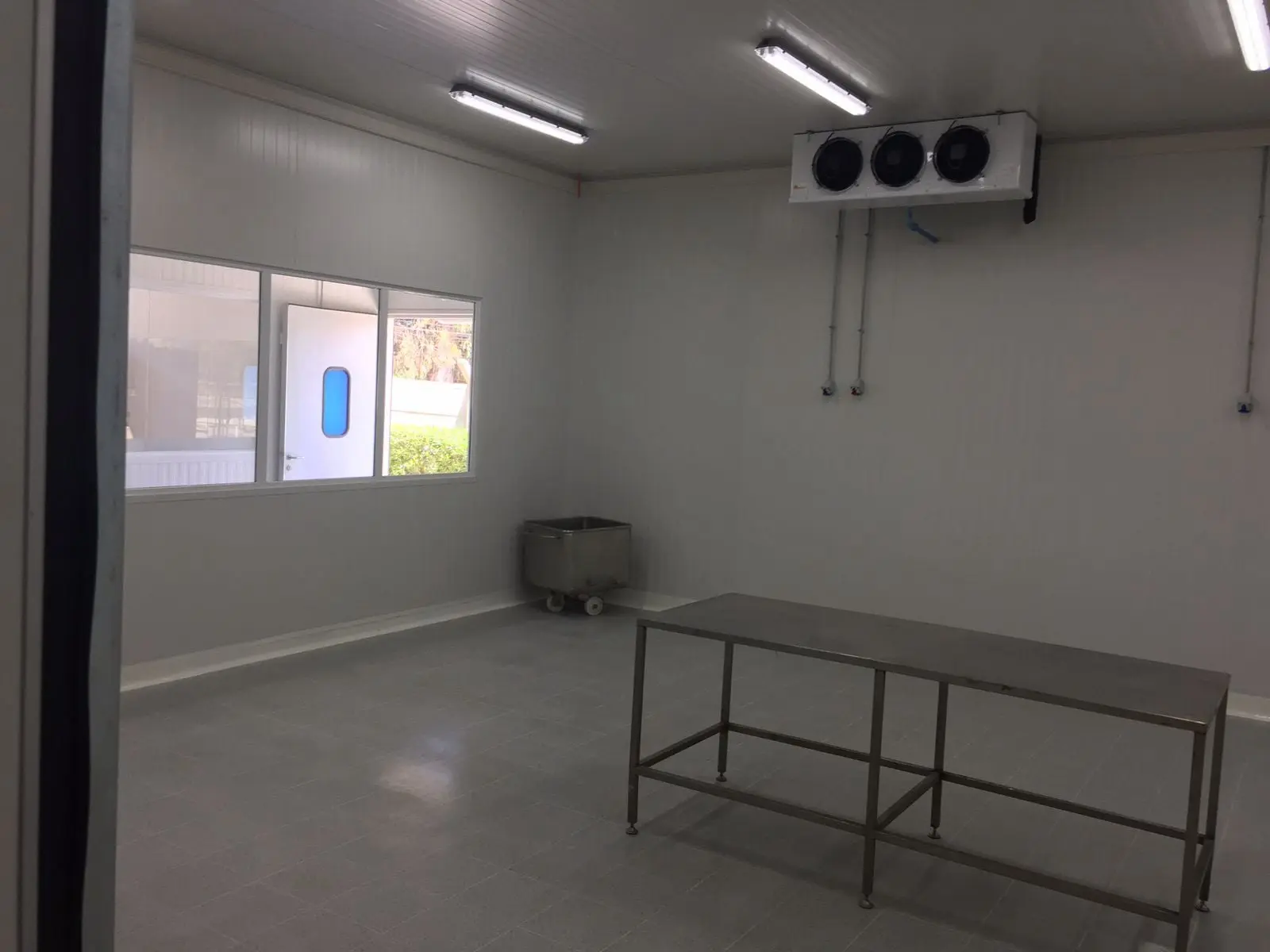 Línea Industrial y Congelados